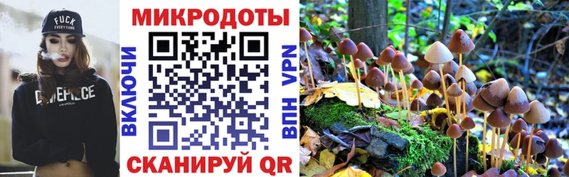 Псилоцибиновые грибы MAGIC MUSHROOMS гидра ссылка Бикин